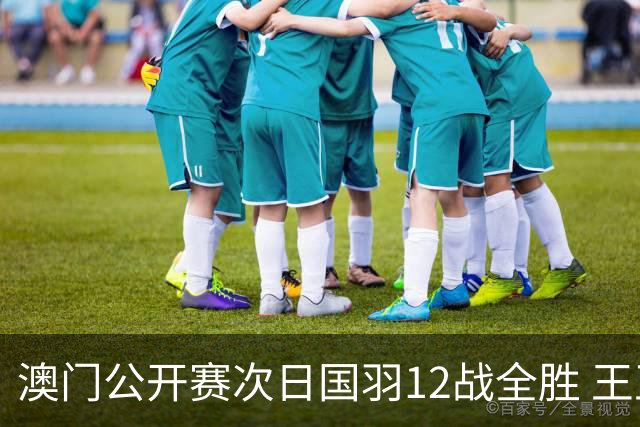 澳门公开赛次日国羽12战全胜 王正行刘亮晋级次轮